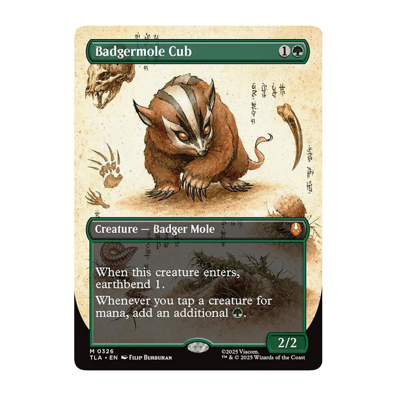 💫  Badgermole Cub BORDERLESS - TLA 326 💫 Avatar: The Last Airbender 💫 MTG NM